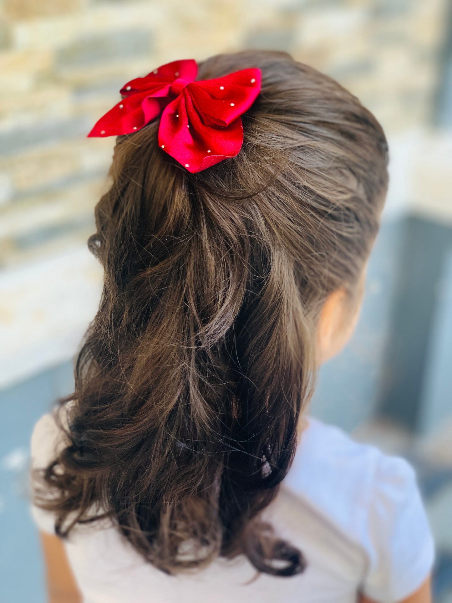 Hair bow tie clip (pair)